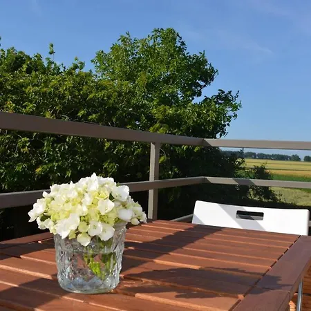 Au Bonheur D'aimée à 14 Min De Pairi Daiza * Montignies-lez-Lens